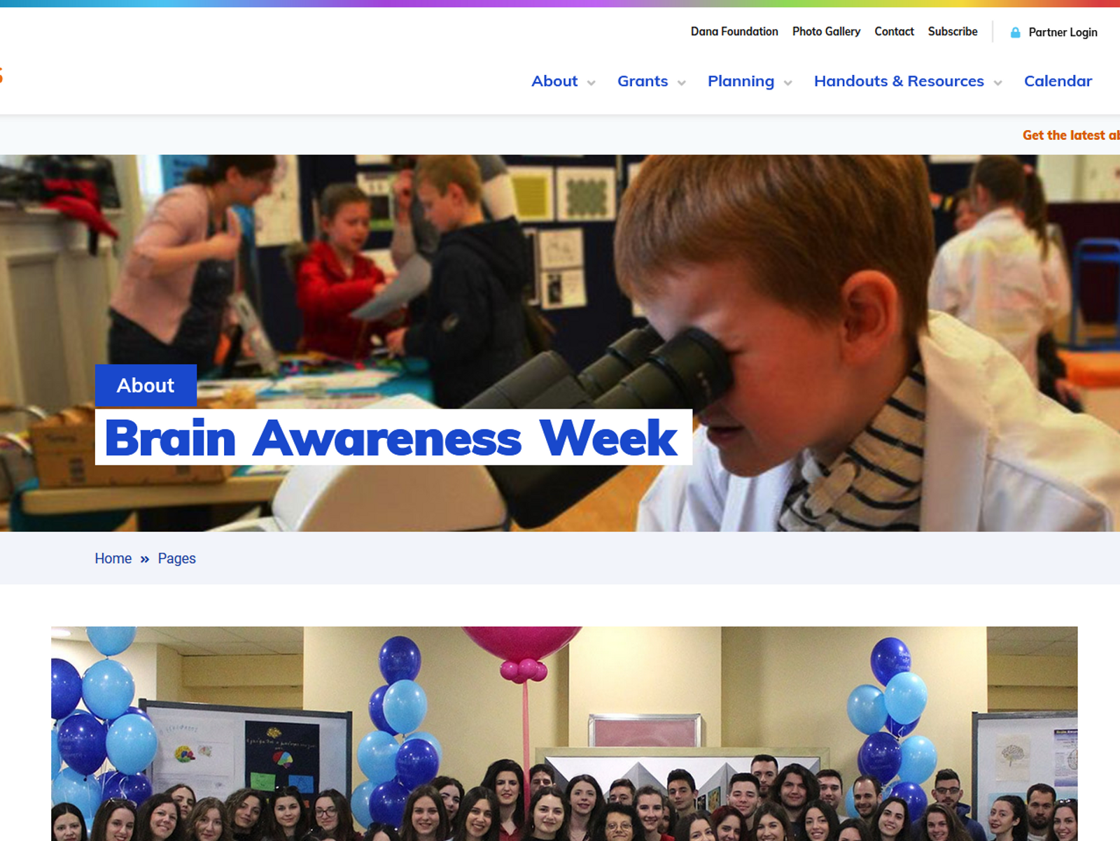 Its Brain Awareness Week (15th - 21st March 2021)