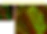 Picture7.png
